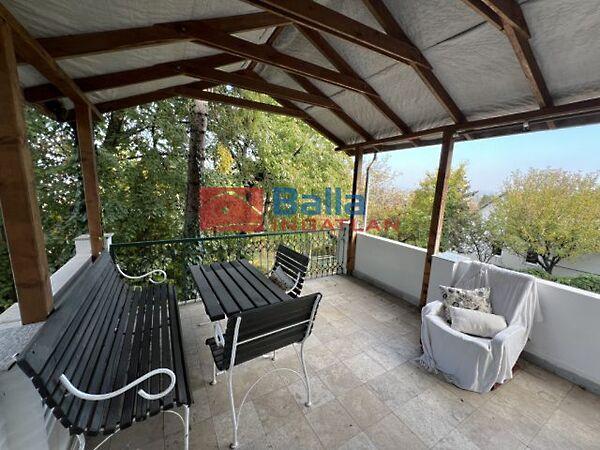 Nárcisz, Pomáz képe