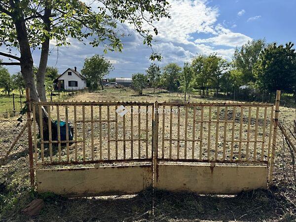 Szamóca, Békéscsaba képe