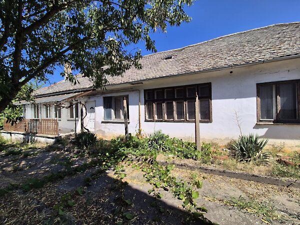 Dózsa György, Baja képe