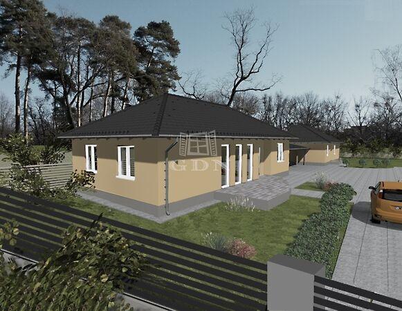 József Attila, Kóka képe