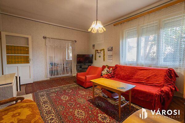 Szeged, Szeged képe