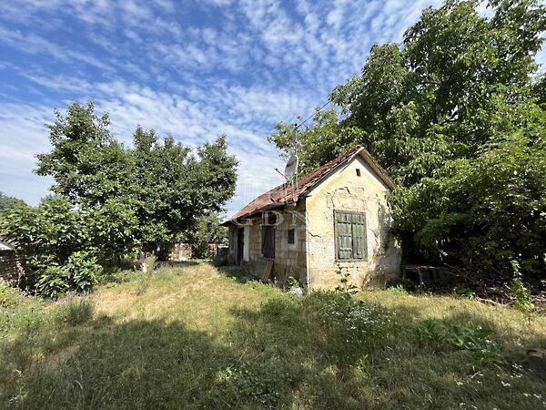 Fő, Budakeszi képe