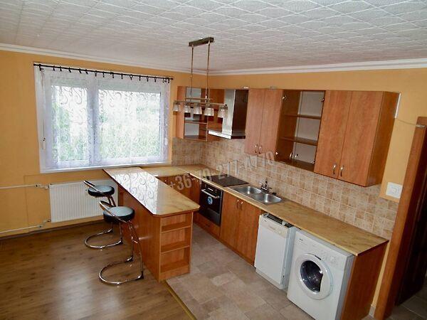 Népek barátsága, Oroszlány képe