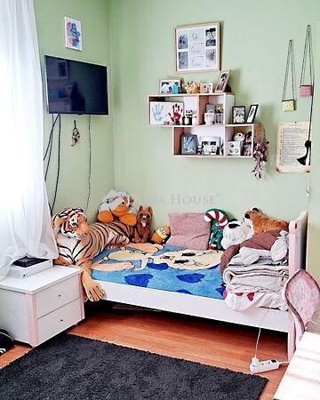 Nárcisz, Siófok képe