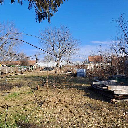 Judit Ingatlan és, Monor képe