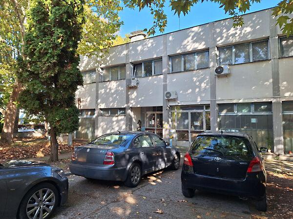 Szentesi, Csongrád képe