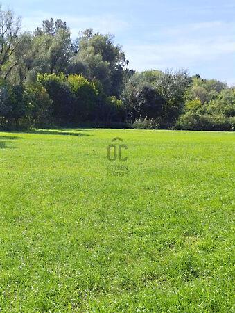 Körösnagyharsány képe