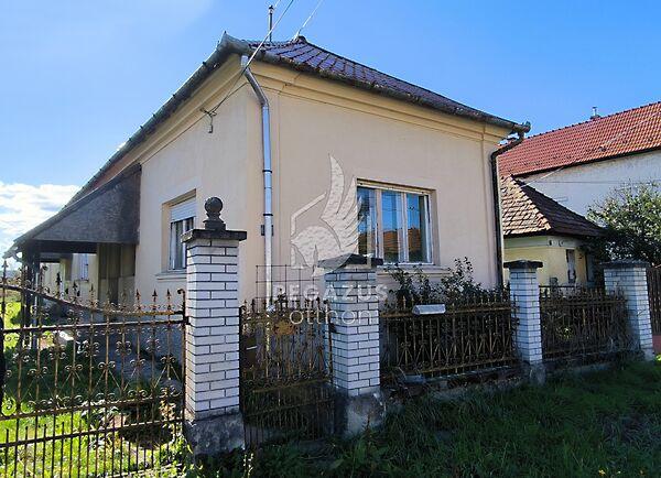 Kossuth Lajos, Bánréve képe