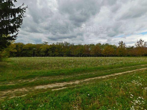 Szentgyörgyvár képe