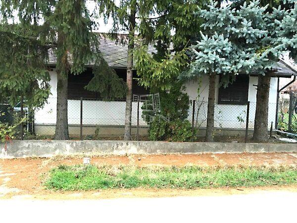 Attila.,u., Maglód képe