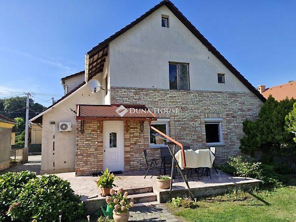 Szilágyi Erzsébet, Tata képe