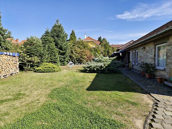 Szilágyi Erzsébet, Tata képe