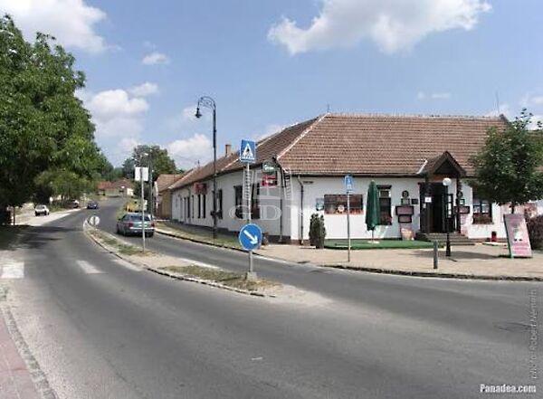 Kamillás, Mogyoród képe