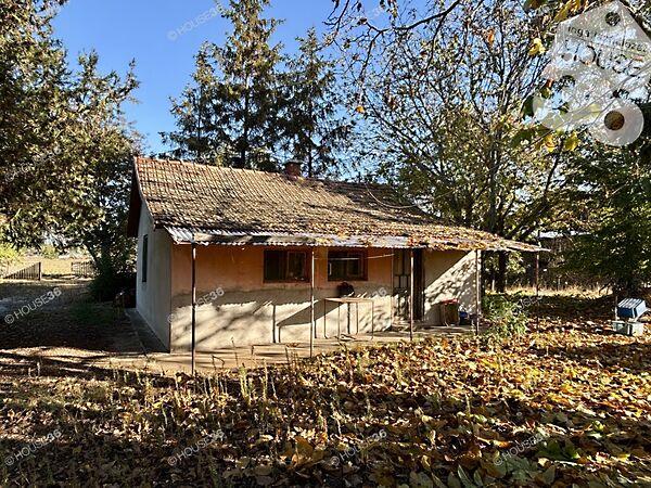 Kiskunfélegyháza képe