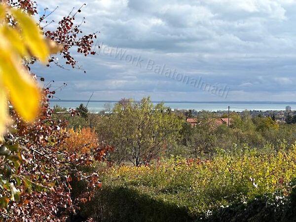 Balatonalmádi képe