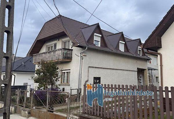 Erdész, Zalaegerszeg képe