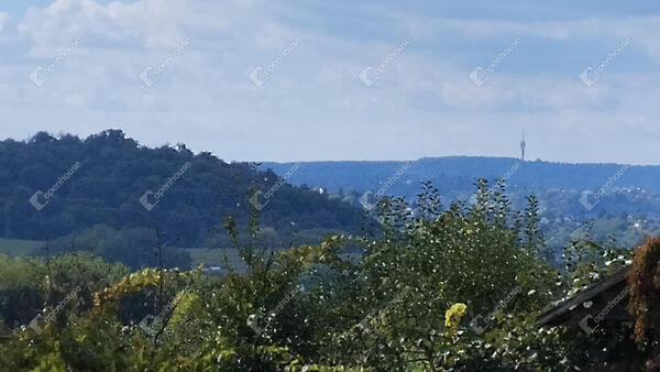 Homoktövis, Zalaegerszeg képe