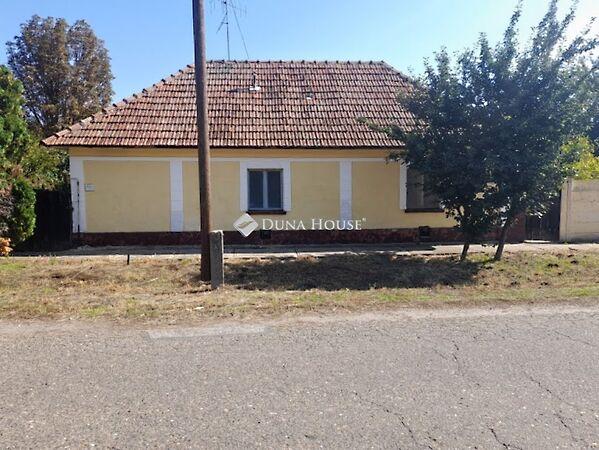 Ady Endre, Újkígyós képe