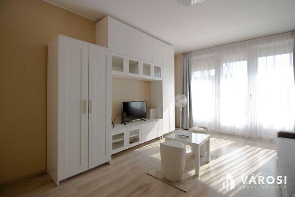 Békéscsaba, Békéscsaba képe