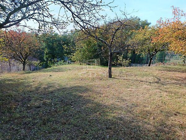 Iskola, Mogyoród képe