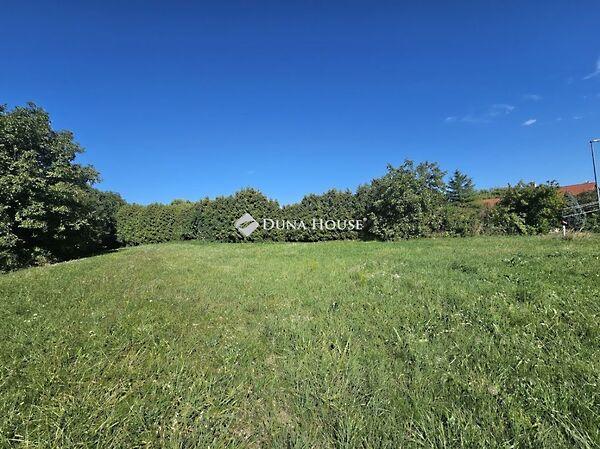 Levendula, Vámosszabadi képe