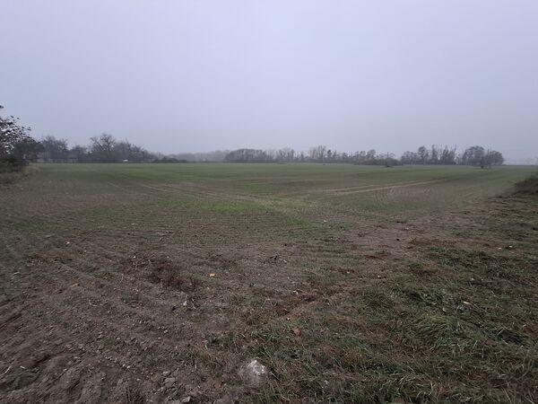 Kiskunlacháza képe