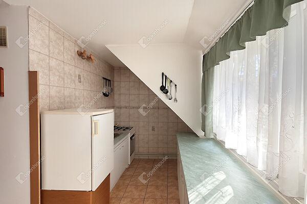 Táncsics Mihály, Sopron képe