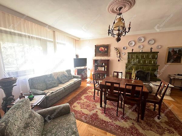 Táncsics Mihály, Sopron képe