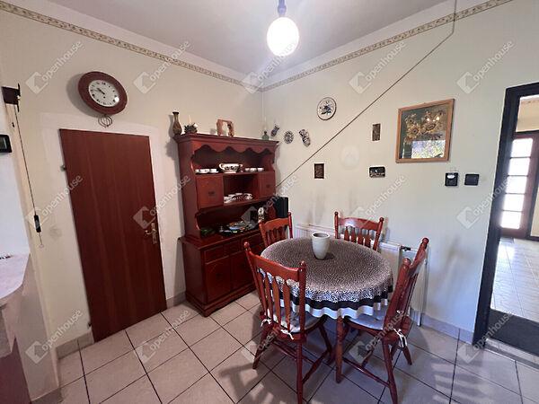 Táncsics Mihály, Sopron képe