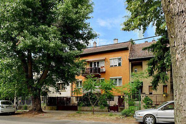 Fűrész, Budapest, XIV. kerület képe