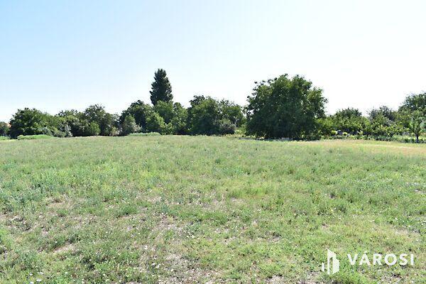 Békéscsaba, Békéscsaba képe