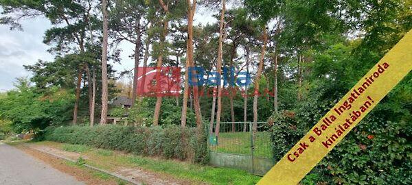 Bethlen Gábor, Balatonfenyves képe