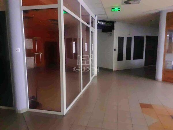 Liget, Gyenesdiás képe