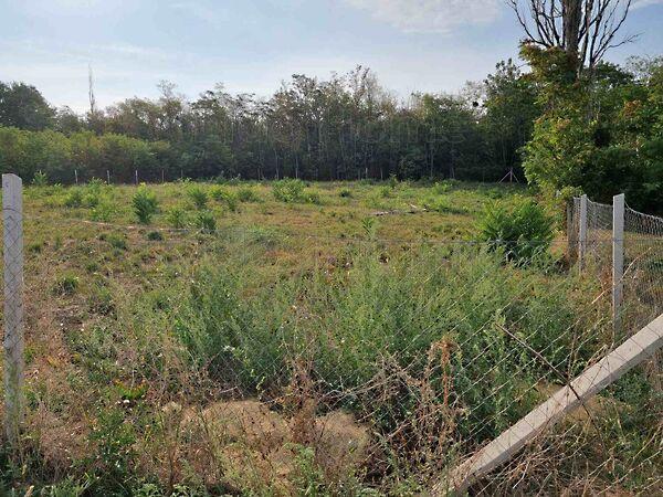 Balatonszárszó képe