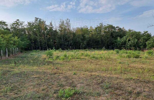 Balatonszárszó képe