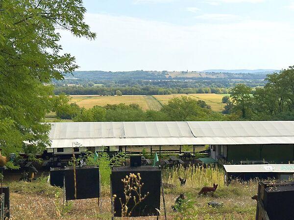 Kehidakustány képe