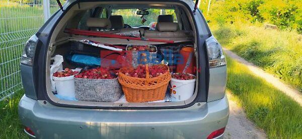 Rákoshegy csendes mellékutcában található, Budapest, XVII. kerület képe