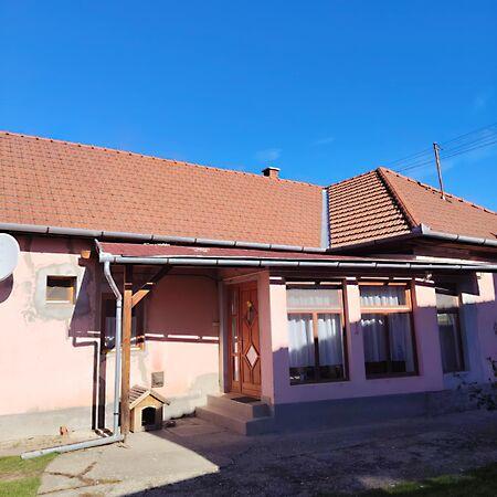 Alkotmány, Bogács képe