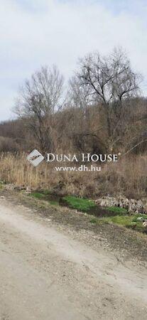 Kolozsvári, Felcsút képe