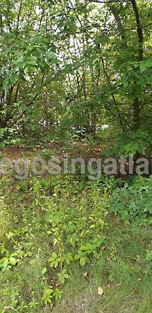 Budapest, XVI. kerület képe