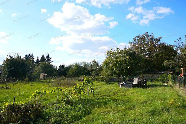 Mosonszentmiklós képe