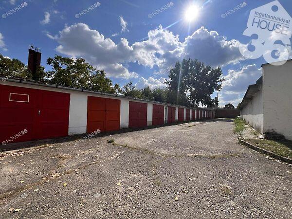 Juhar, Kecskemét képe