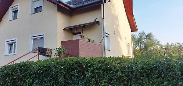 Liget, Debrecen képe