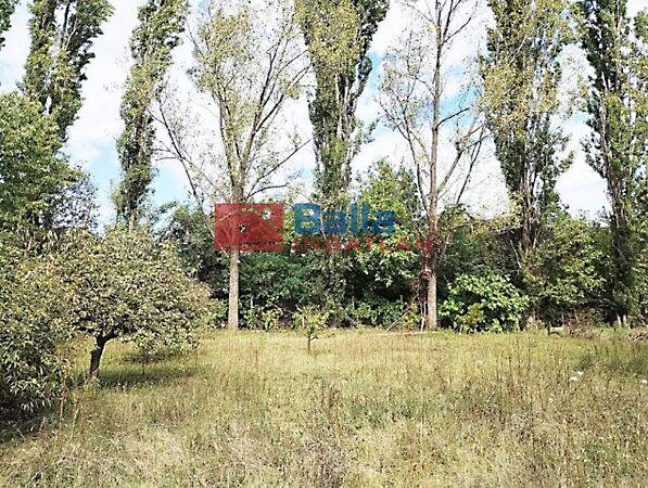 Füzes patak közelében utca, Biatorbágy képe