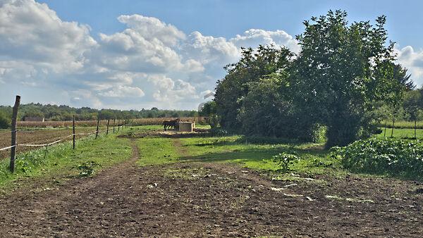 Balatonberény képe