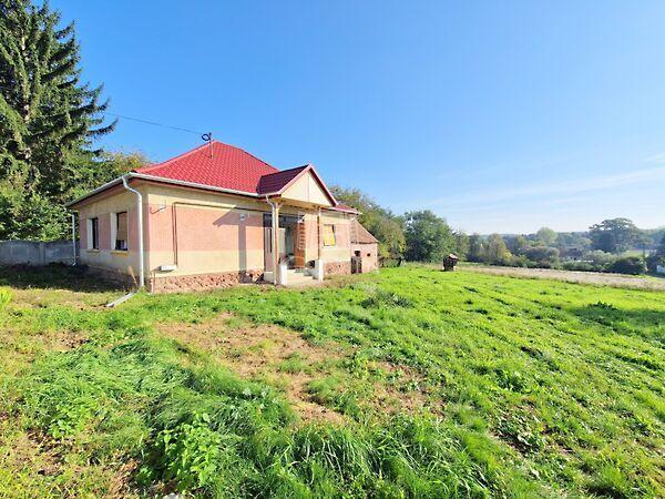 Csendes, Andrásfa képe