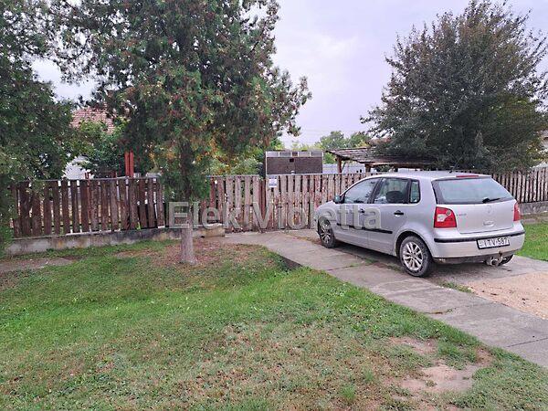 Aradi, Zagyvarékas képe