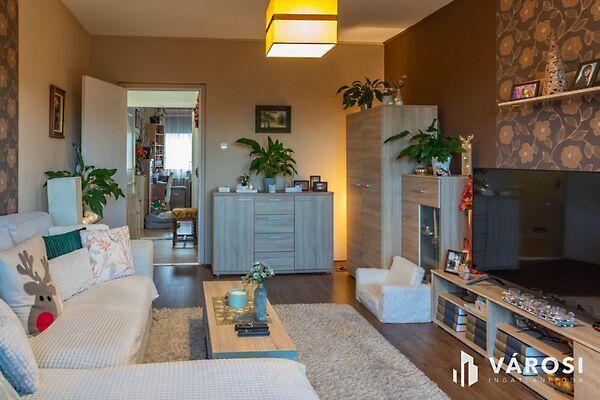 Békéscsaba, Békéscsaba képe