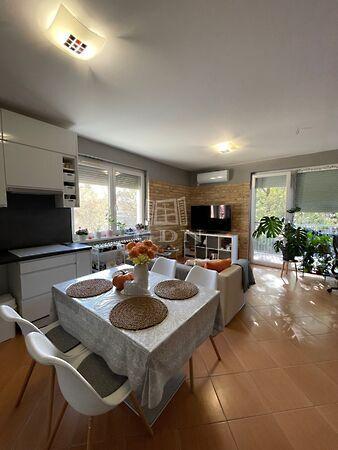 Farkas, Szeged képe