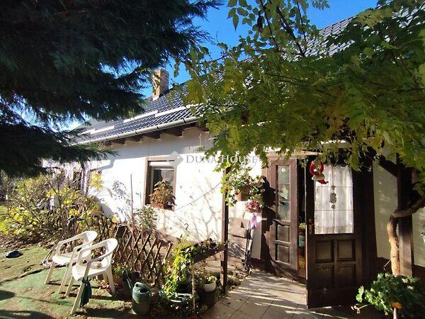 Szent István, Tatabánya képe